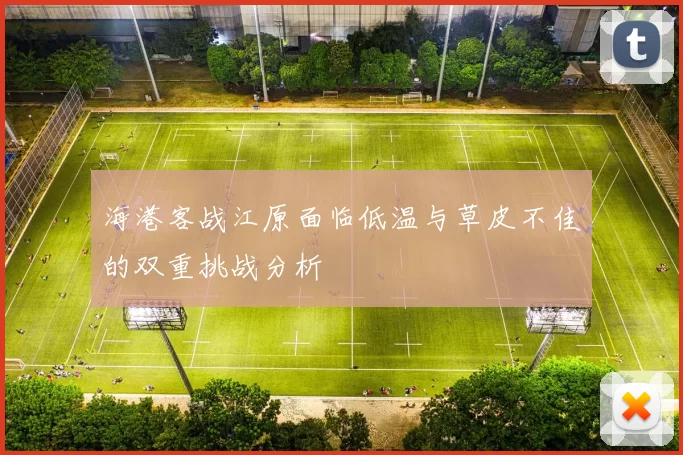 海港客战江原面临低温与草皮不佳的双重挑战分析
