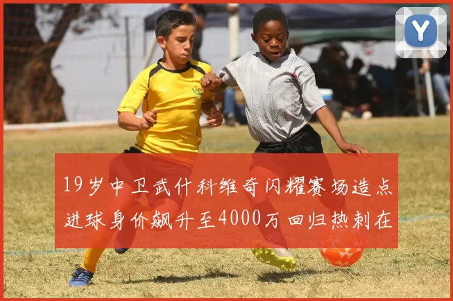 19岁中卫武什科维奇闪耀赛场造点进球身价飙升至4000万回归热刺在即